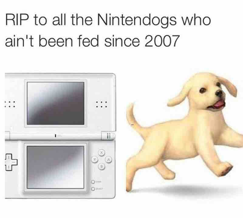 Meme taken from Imgur.